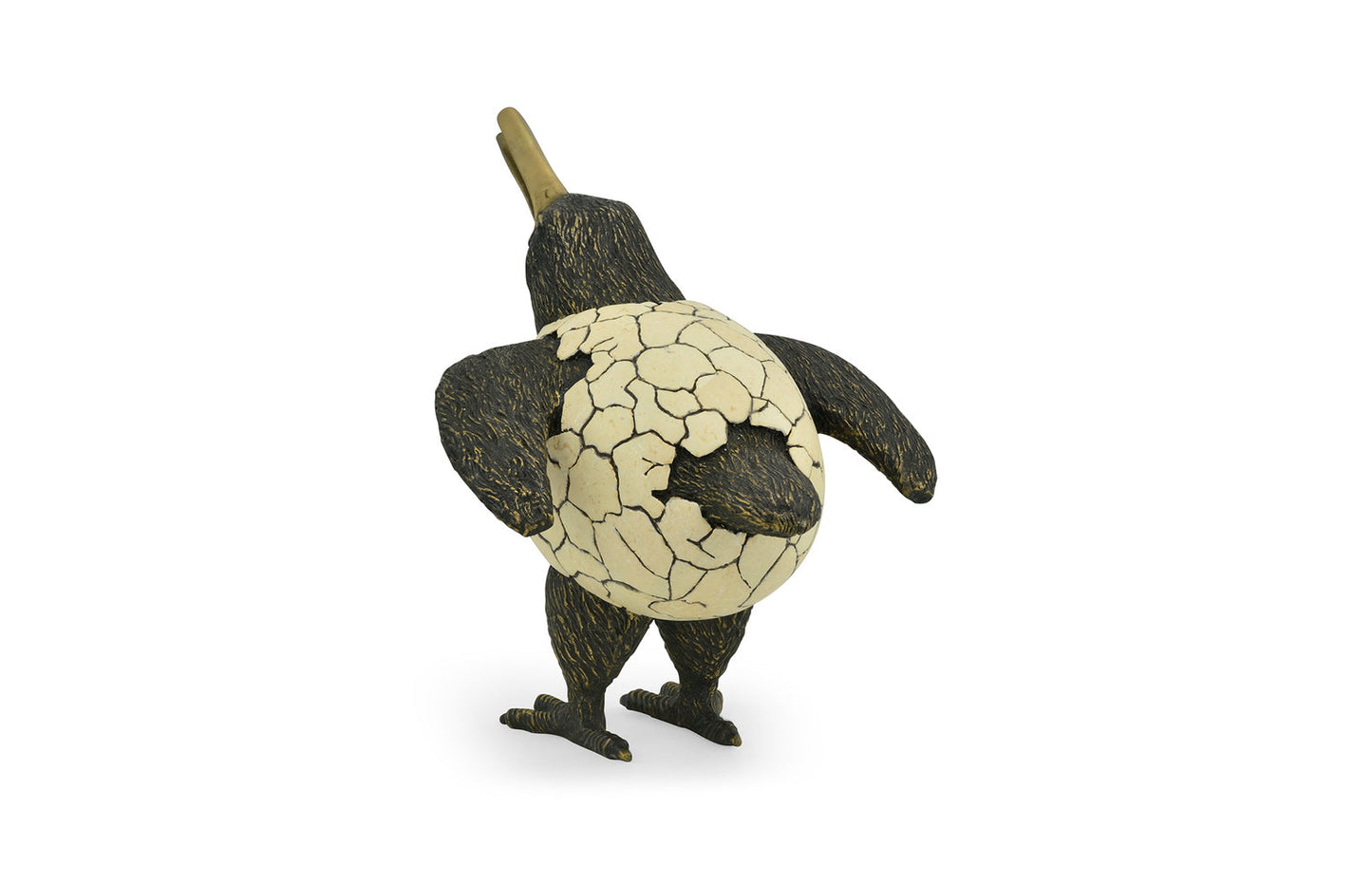 Antique Dark Bronze Kiwi in Broken Eggshell